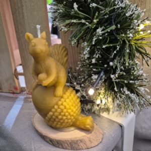 Bougie Ecureuil Gland