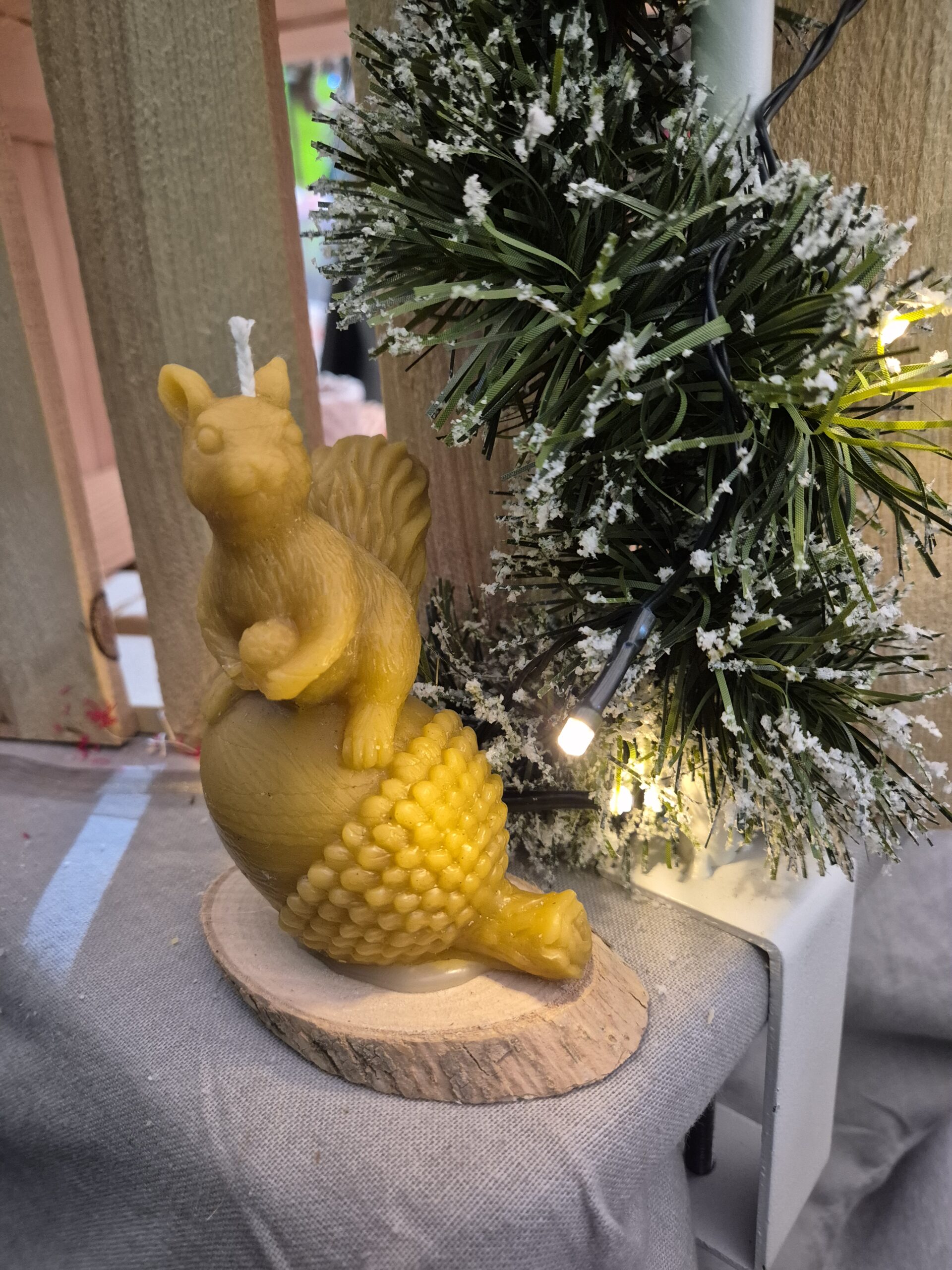 Bougie Ecureuil Gland