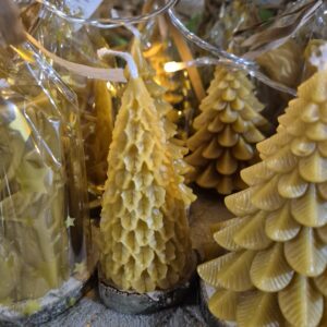 Bougie  Sapin - Houx