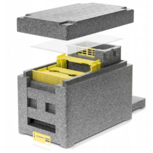 Ruchette de fécondation APIDEA Gris